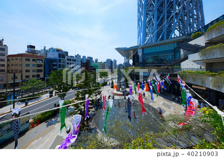 東京スカイツリーと鯉のぼりと噴水の写真素材