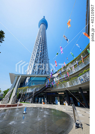 東京スカイツリーと鯉のぼりと噴水の写真素材