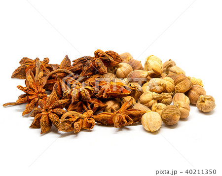 Siam Cardamom Star anise spice fruits and seeds. Siam Cardamom Star anise spice fruits and seeds. 40211350