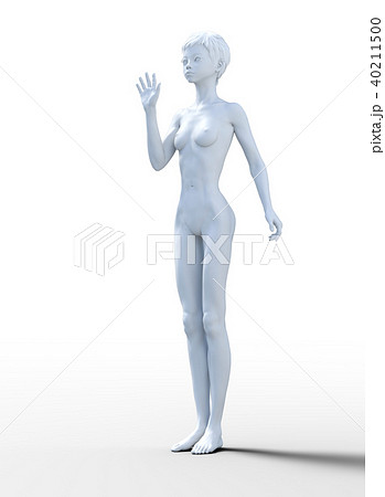 人体模型　女性　ホワイトフルヌード　perming3DCG　イラスト素材 40211500
