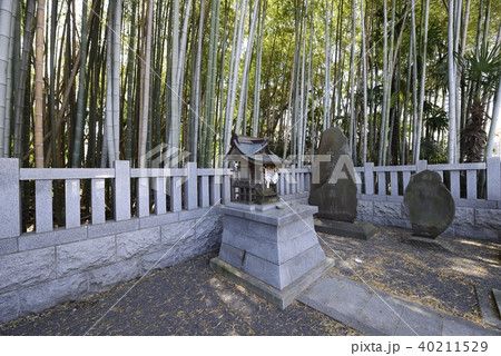 八幡の藪知らず 40211529