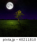 Tree on night meadow lit by moon 40211810