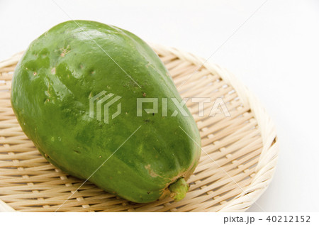 パパイヤ 40212152