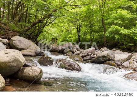 栃木県塩谷町　尚仁沢湧水（5月） 40212460