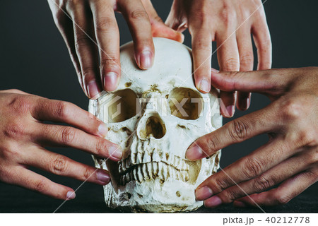 骸骨と人間の手 40212778