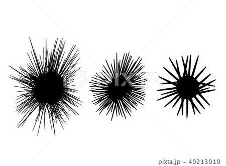Set of Sea urchin icon in silhouette style, vector 40213010