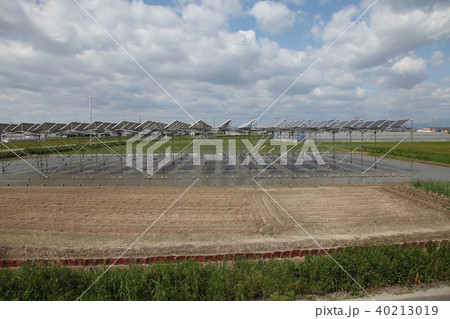 太陽光パネル_営農型ソーラー 三重県木曽岬町 太陽光パネル_営農型ソーラー 三重県木曽岬町 40213019