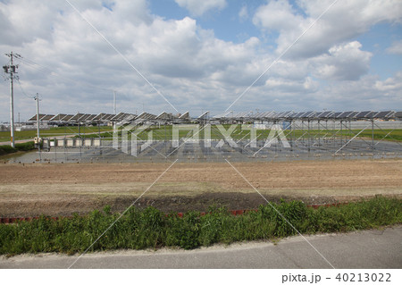 太陽光パネル_営農型ソーラー 三重県木曽岬町 太陽光パネル_営農型ソーラー 三重県木曽岬町 40213022
