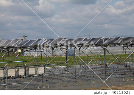 太陽光パネル_営農型ソーラー 三重県木曽岬町 太陽光パネル_営農型ソーラー 三重県木曽岬町 40213025
