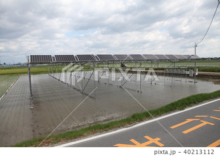 太陽光パネル_営農型ソーラー　三重県木曽岬町 40213112