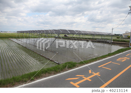 太陽光パネル_営農型ソーラー 三重県木曽岬町 太陽光パネル_営農型ソーラー 三重県木曽岬町 40213114