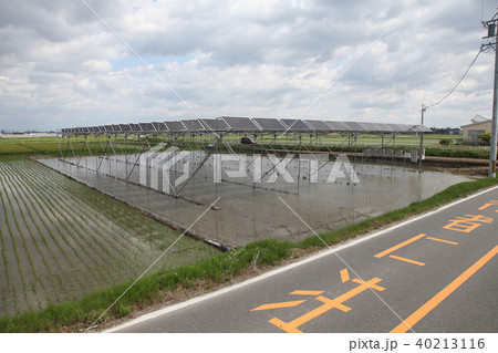 太陽光パネル_営農型ソーラー　三重県木曽岬町 40213116