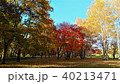 紅葉の公園　＜真駒内公園　札幌市＞ 40213471