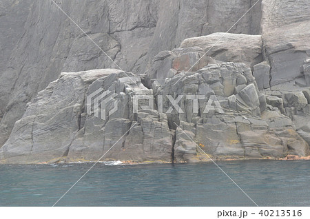 切り立った断崖(知床半島 西岸/北海道) 切り立った断崖(知床半島 西岸/北海道) 40213516