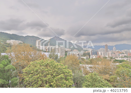 a middle Kowloon view from the kowloon tong 40213795