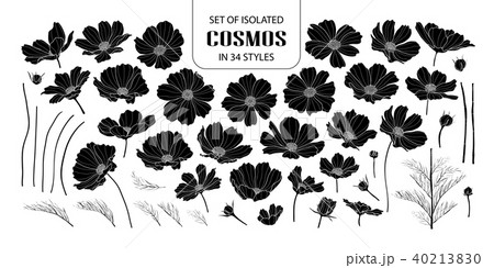 Set Of Isolated Silhouette Cosmos In 34 Styles のイラスト素材