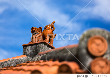 赤瓦のシーサー 40213860