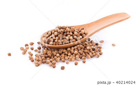 coriander seeds in spoon wooden on white 40214024