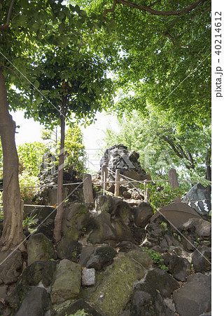 鳩森八幡神社にある千駄ヶ谷の富士塚（東京都渋谷区） 40214612