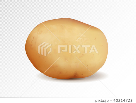 Realistic potato, 3d vector illustration 40214723