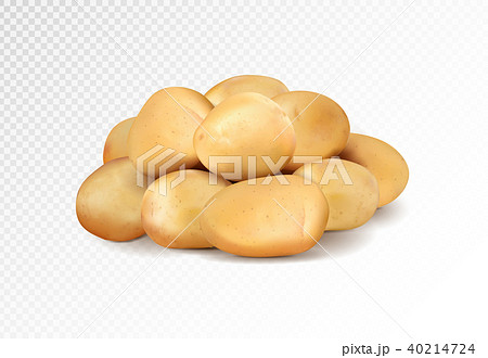 Realisic vector potatoes grope on transparent background. 40214724