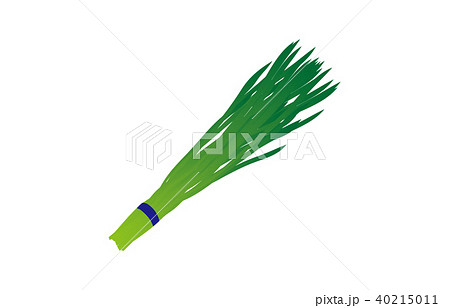 野菜にら 40215011