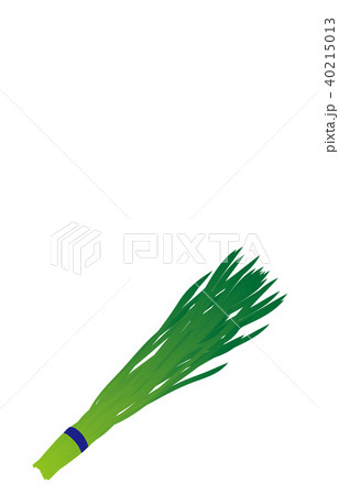 野菜にら 40215013