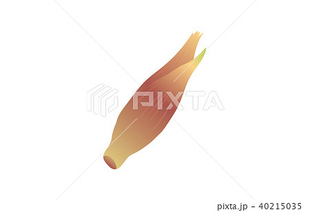 野菜みょうが 野菜みょうが 40215035