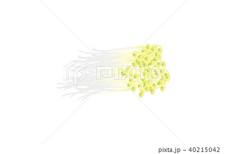 野菜もやし 40215042