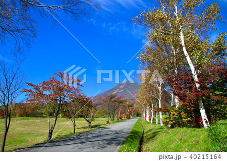 秋の町営牧場（猪苗代町） 40215164