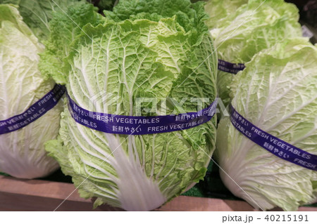 白菜 40215191