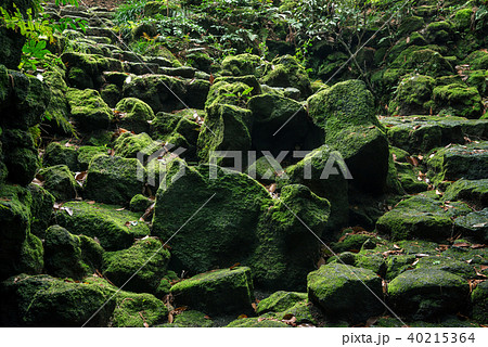 駒門風穴、富士山の麓、石の階段 40215364