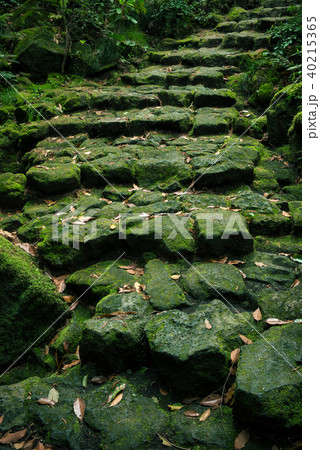 駒門風穴、富士山の麓、石の階段 40215365