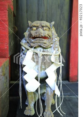 花園神社の本殿　狛犬　北茨城市 40217023