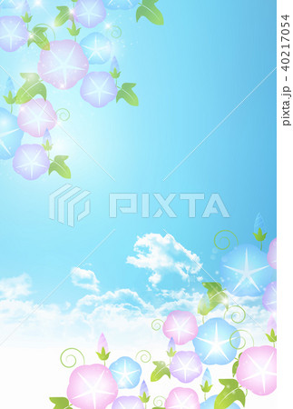 あさがお　夏　風景　背景  40217054