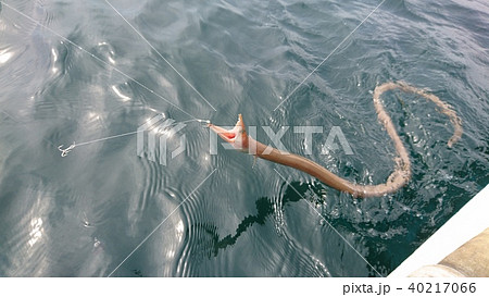 手漕ぎボートで海釣り 40217066