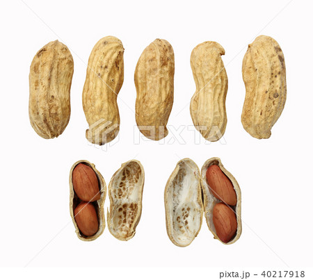 fresh peanut collection isolated on white background. fresh peanut collection isolated on white background. 40217918