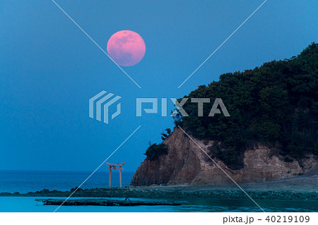 海の鳥居のある風景と朧月 40219109