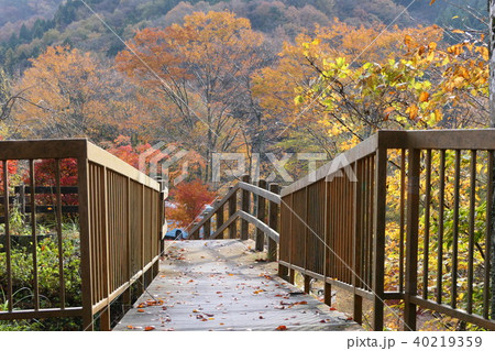 秋の印象　歩む道 40219359