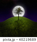 Tree on night hill lit by moon 40219689