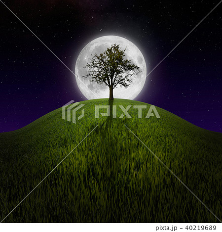 Tree on night hill lit by moon 40219689