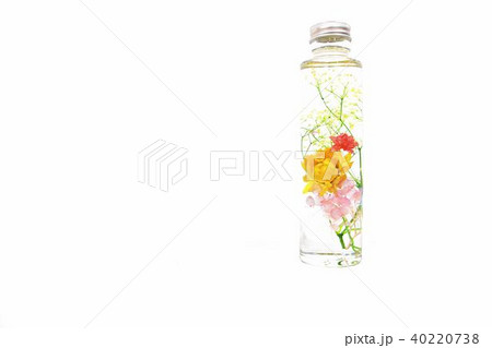 ハーバリウム ハーバリウム 40220738