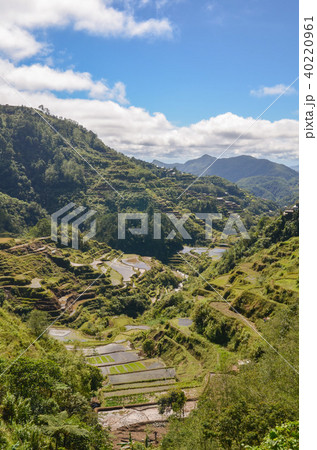 バナウェ　ビューポイントから 40220961