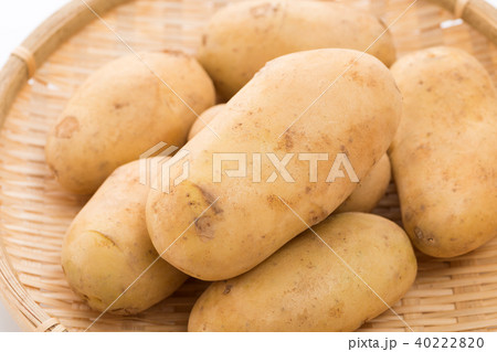 じゃがいも 40222820