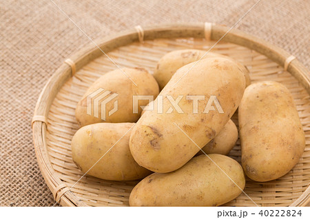 じゃがいも 40222824