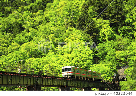 新緑の高山本線 新緑の高山本線 40223044