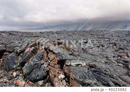 Lava 40225082