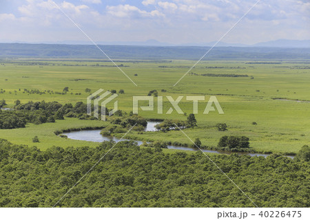 北海道・釧路湿原（細岡展望台より） 40226475