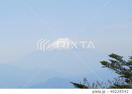 都民の森⑩ 40226542