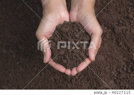 Hand of male holding soil in the hands Hand of male holding soil in the hands 40227115